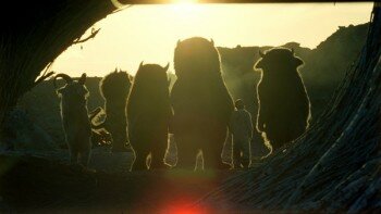 where the wild things are movie image 350x197 Between The Aisles TOKYO!, Star Trek & Where The Wild Things Are